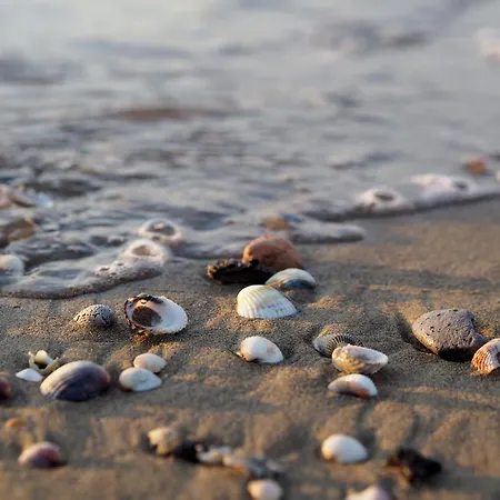 Comfortable By The Sea Appartamento Bibione